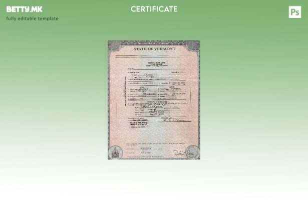 модерен стил Шаблон за извод од матична книга на родените во државата Вермонт во